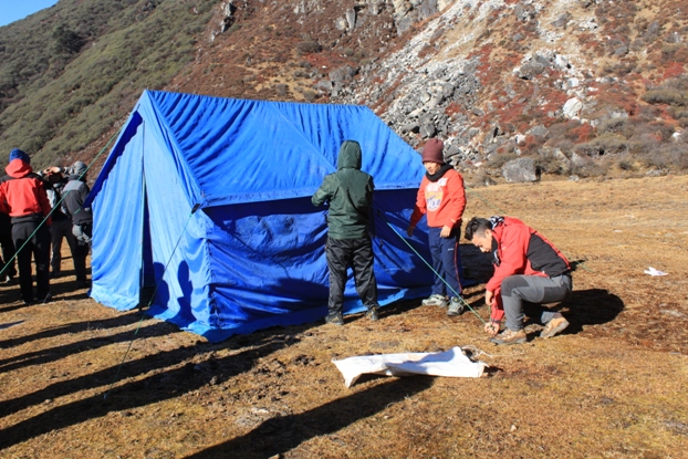 foto-divulgacionaautoins